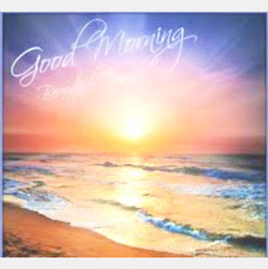 Meet your Posher, Gicel